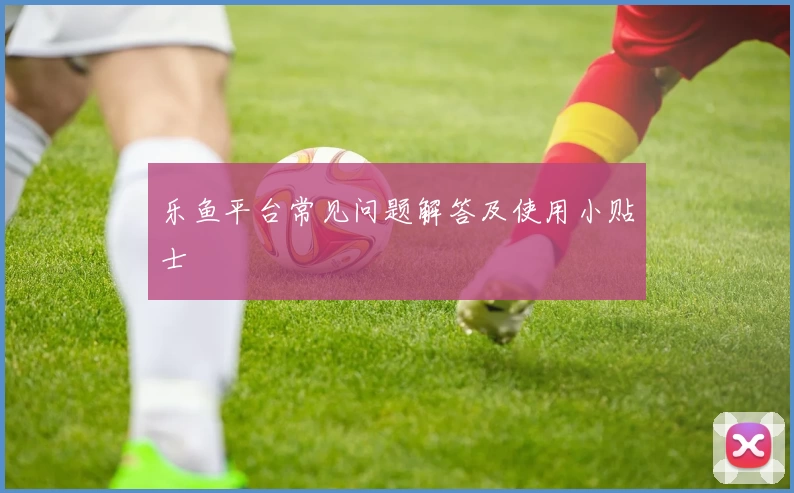 乐鱼平台常见问题解答及使用小贴士