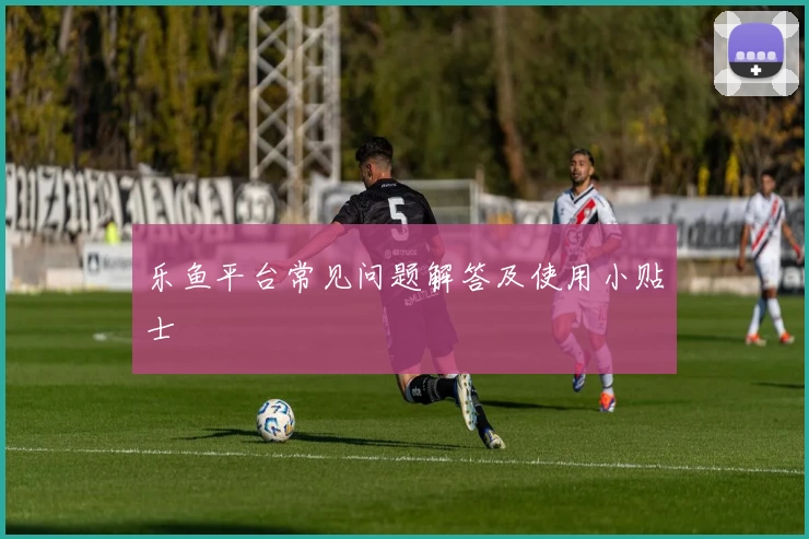 乐鱼平台常见问题解答及使用小贴士
