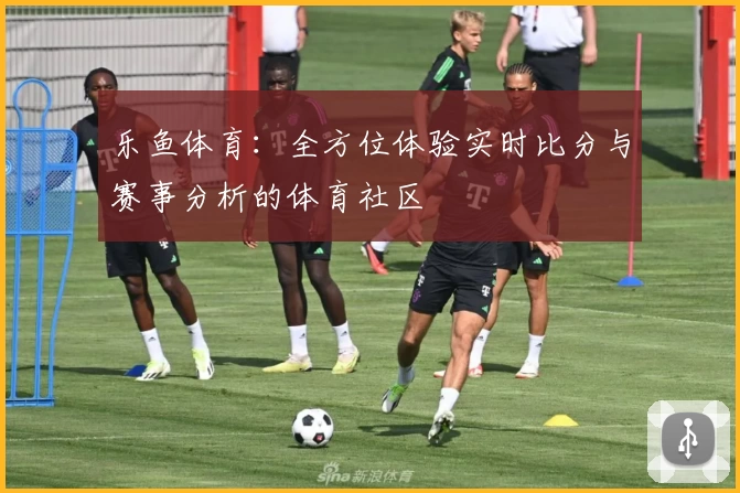 乐鱼体育：全方位体验实时比分与赛事分析的体育社区