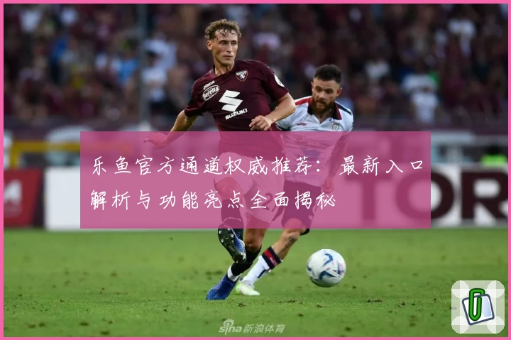 乐鱼官方通道权威推荐：最新入口解析与功能亮点全面揭秘