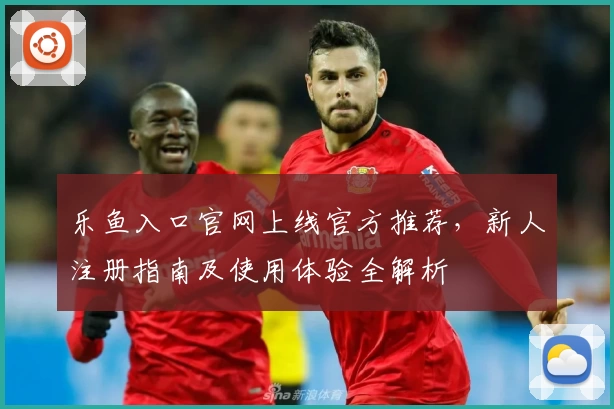 乐鱼入口官网上线官方推荐，新人注册指南及使用体验全解析